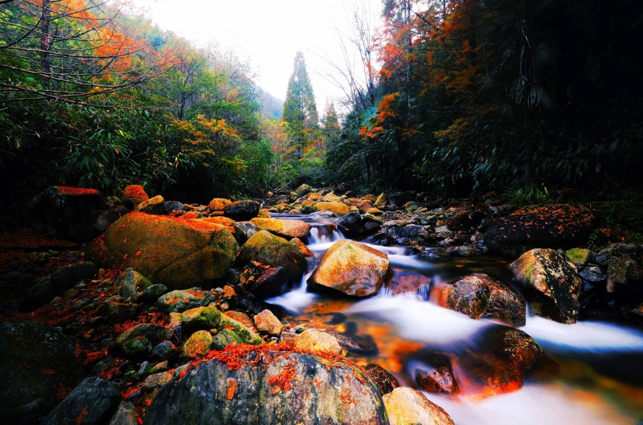 https://img.xiumi.us/xmi/ua/1faqt/i/dae08e25c6f7dc4178fbd2ee00c502da-sz_1774847.jpg?x-oss-process=style/xmwx